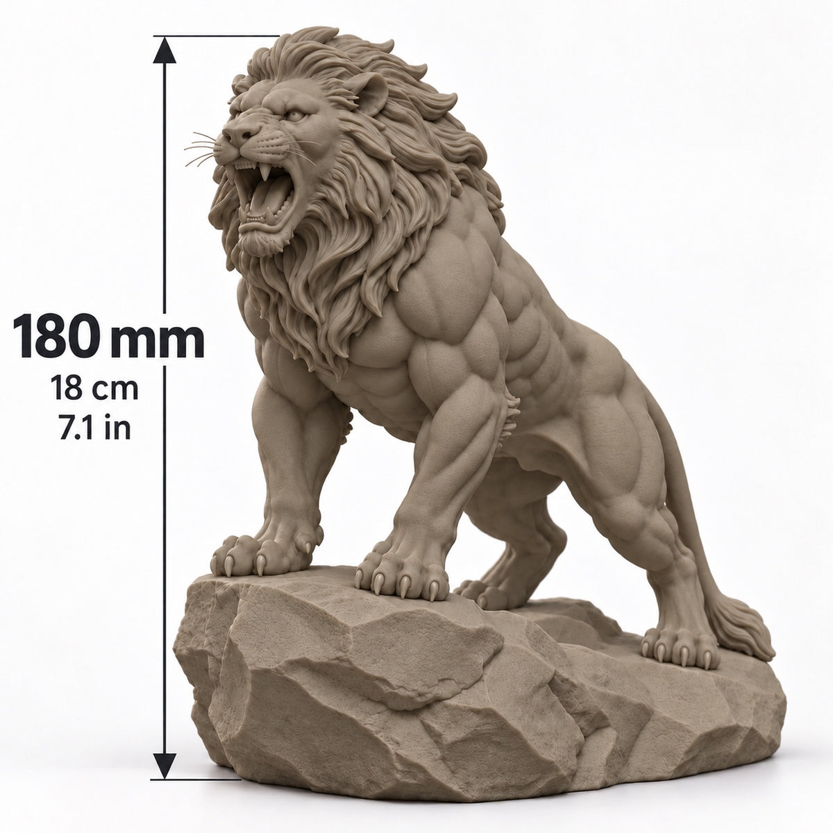 CONQR Roaring Lion desk statue in Sandstorm, tail resting on the rock, size guide, 18 cm (7.1 inch) tall