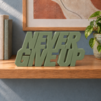 Never Give Up desk letters – Army Green on the ledge