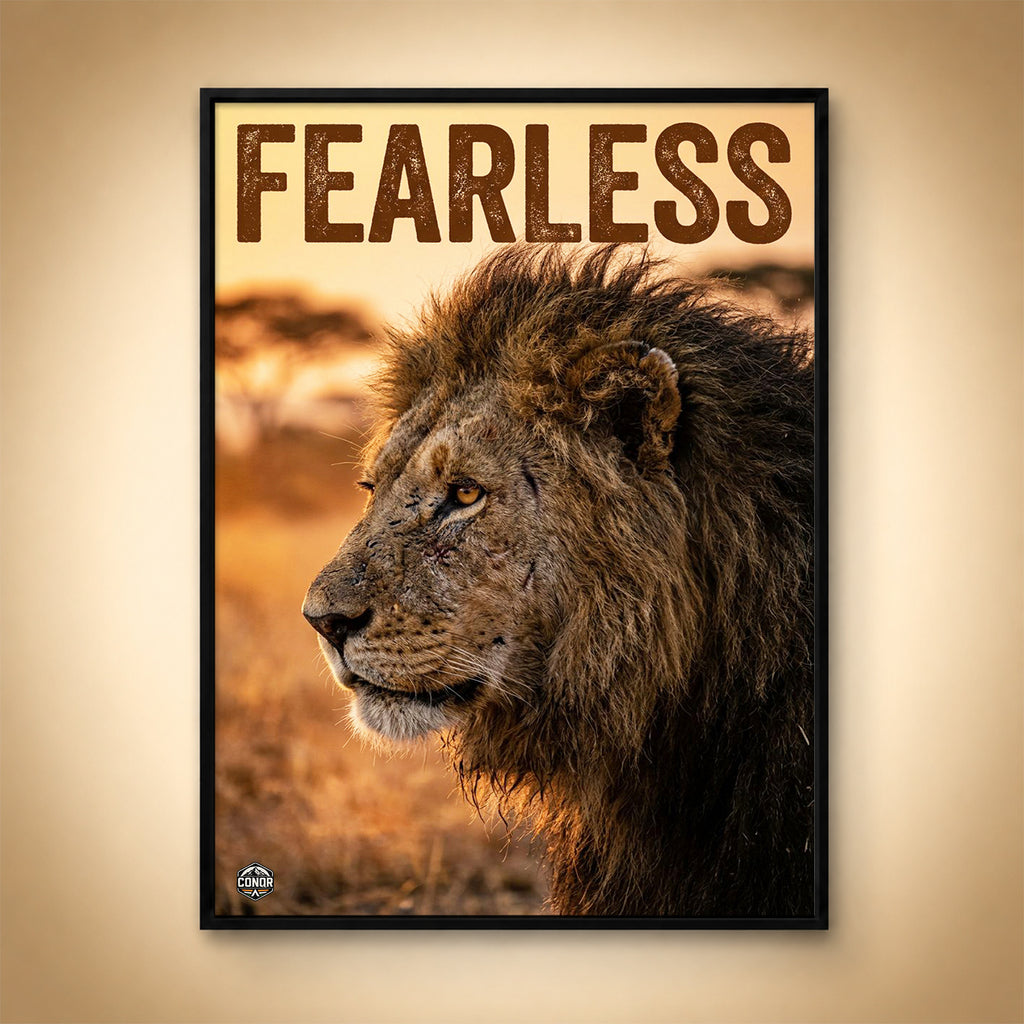 Fearless – The Lion Doesn't Take a Vote