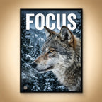 Focus – Cold World, Locked Eyes