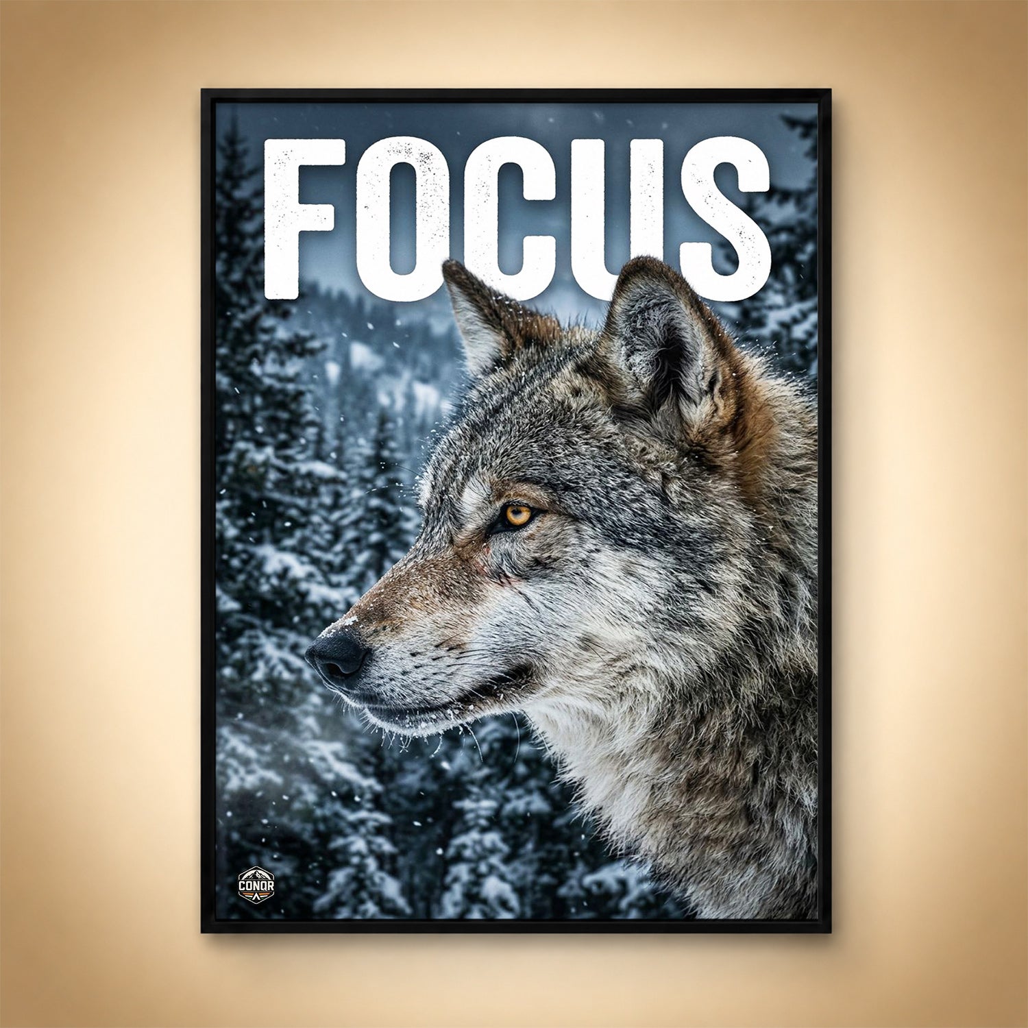 Focus – Cold World, Locked Eyes