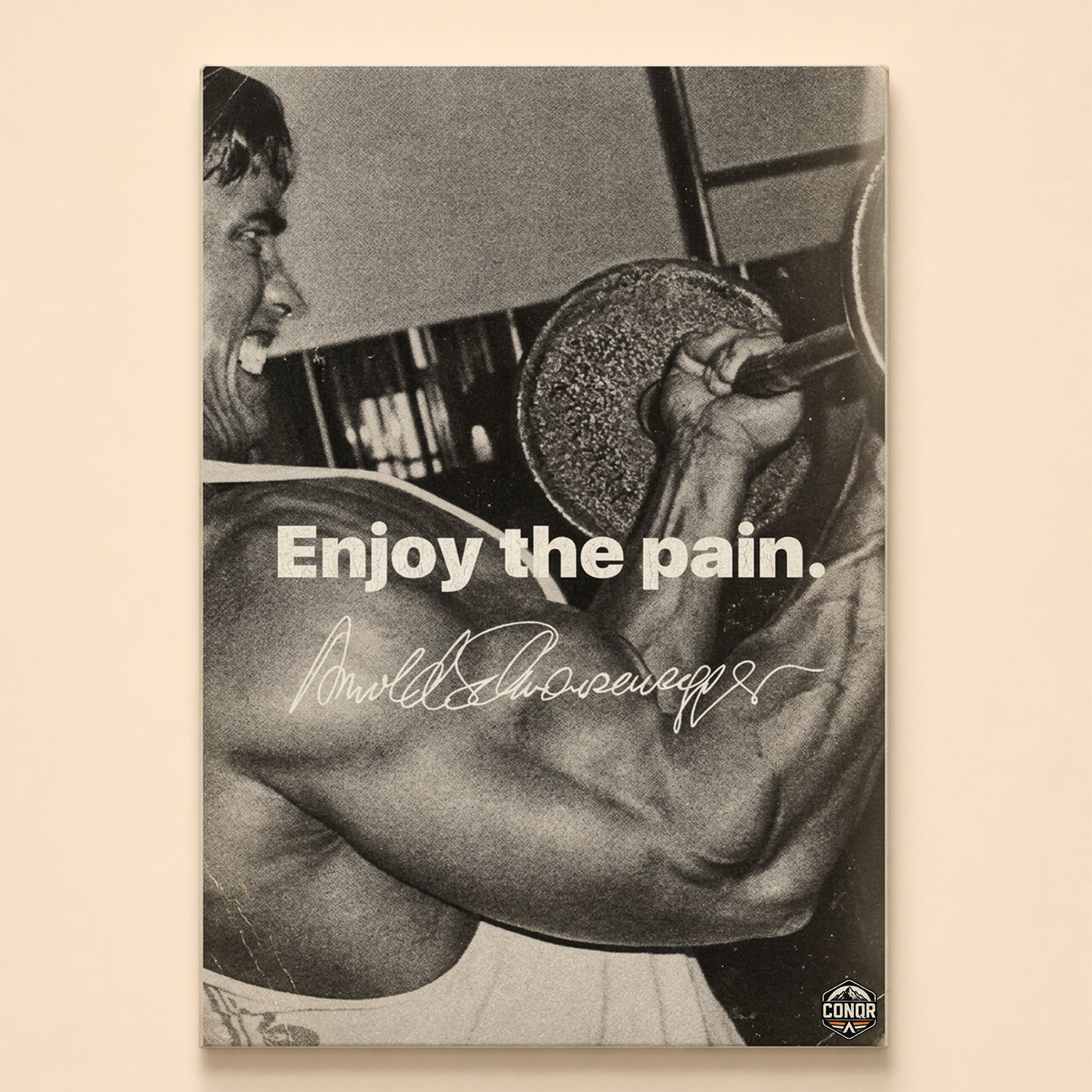 Grainy black-and-white photo of a dumbbell curl – enjoy the pain, signed Arnold Schwarzenegger