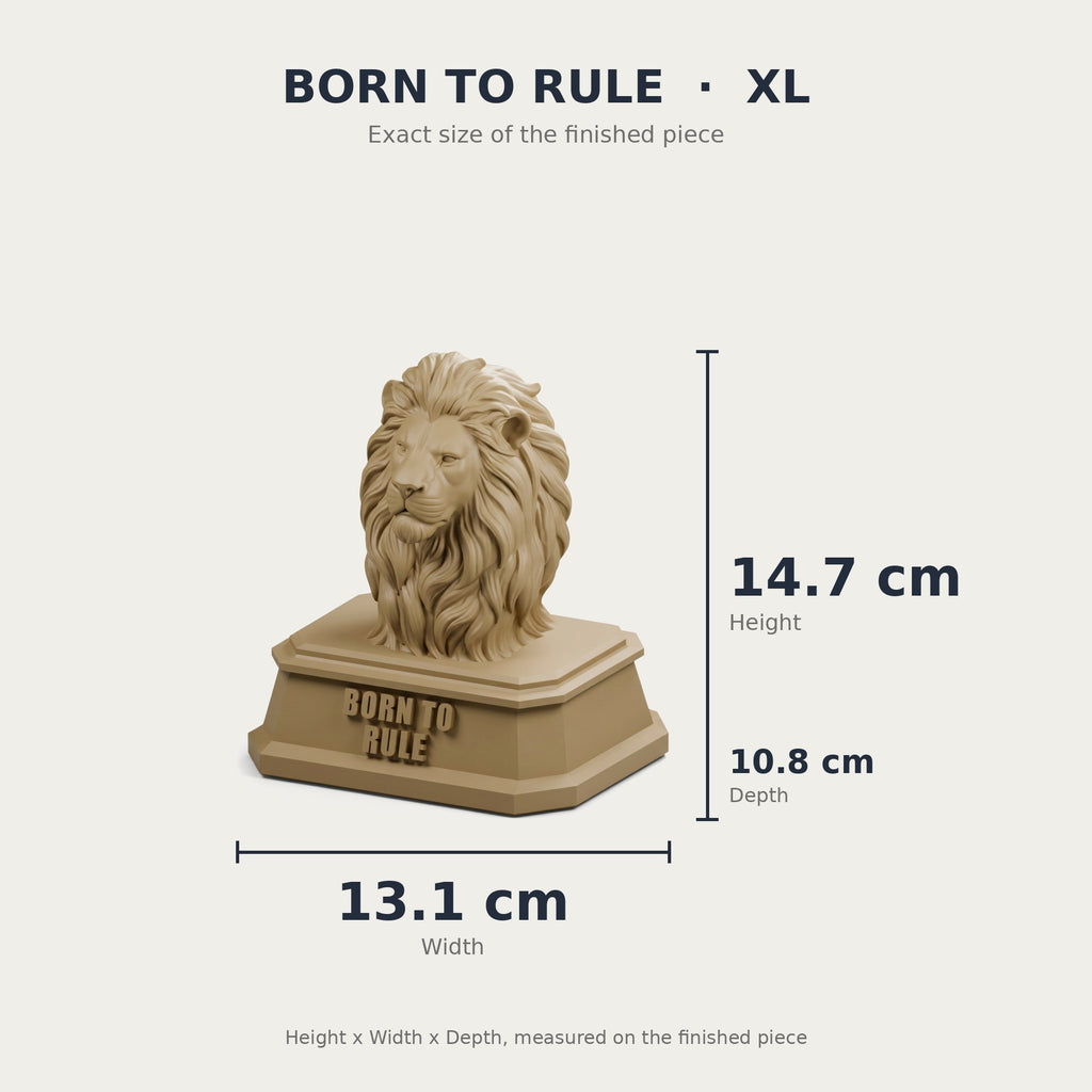 XL size with measurements