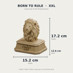 XXL size with measurements