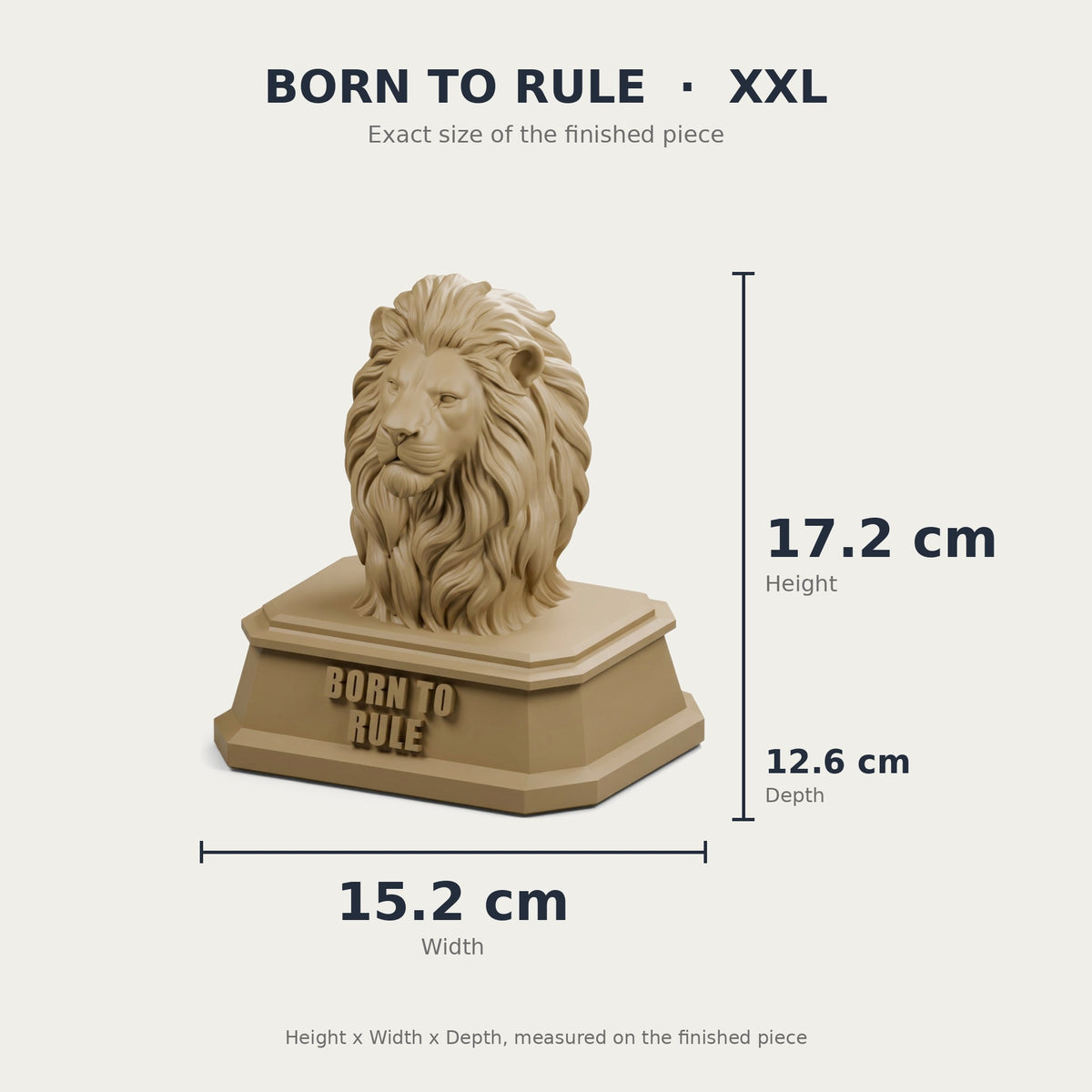 XXL size with measurements